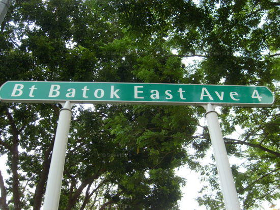 Bukit Batok East Avenue 4 #102102